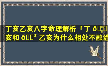 丁亥乙亥八字命理解析「丁 🦍 亥和 🌳 乙亥为什么相处不融洽」